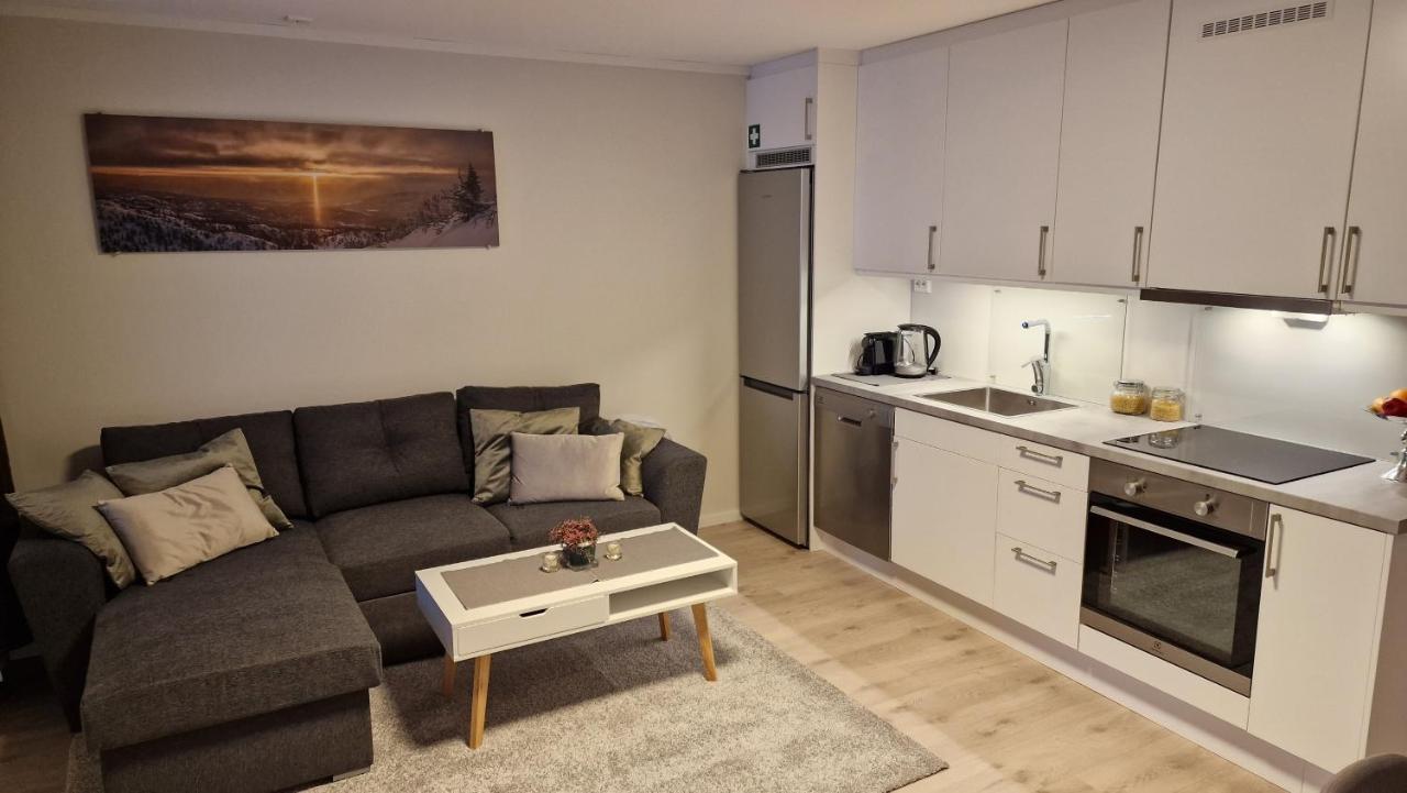 Amot  Haugetuft Apartments מראה חיצוני תמונה